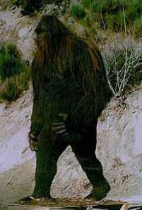 Il Bigfoot, dal 1800 a oggi