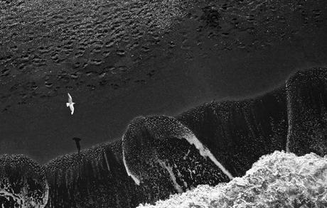 Come nasce una foto – Più in alto dei gabbiani: la costa toscana in deltaplano