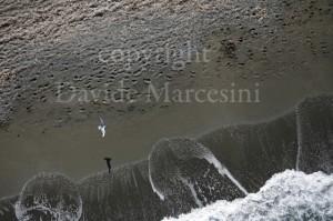 Come nasce una foto – Più in alto dei gabbiani: la costa toscana in deltaplano