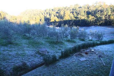 il gelo è salito fino a Pierino