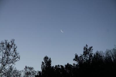 il gelo è salito fino a Pierino