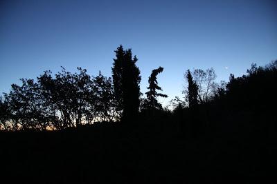 il gelo è salito fino a Pierino