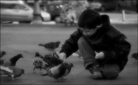 io amo tutto perchè  tutto è uno