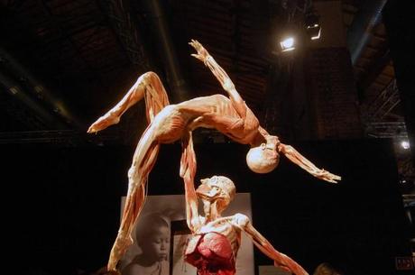 una immagine di I pattinatori 620x412 su Body Worlds: Siamo Proprio Fatti Così