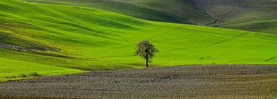 strade e paesaggi, riflessioni