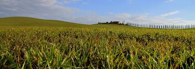 strade e paesaggi, riflessioni