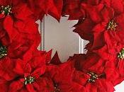 Poinsettias colore rosso