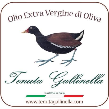 logo Tenuta Gallinella.jpg