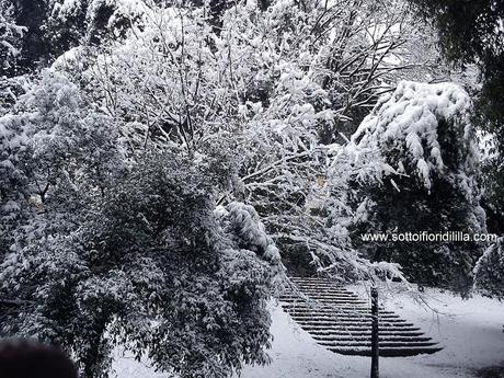 Raggiungere un sogno sotto la neve