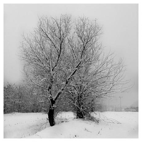 Attimi di neve scatti Neve Inverno Fotografie Attimi 