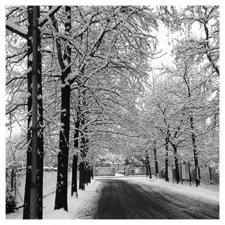 Attimi di neve scatti Neve Inverno Fotografie Attimi 