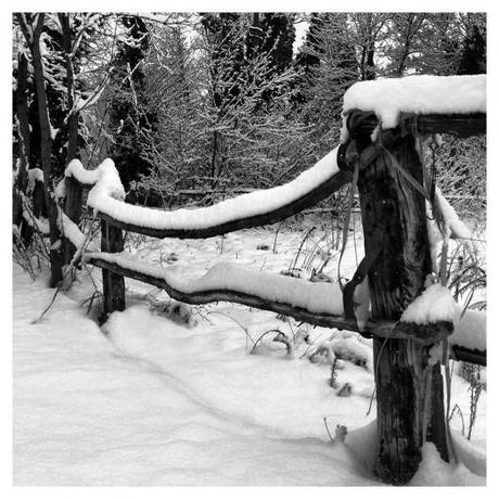 Attimi di neve scatti Neve Inverno Fotografie Attimi 