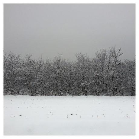 Attimi di neve scatti Neve Inverno Fotografie Attimi 