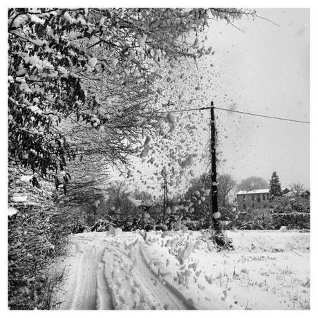 Attimi di neve scatti Neve Inverno Fotografie Attimi 