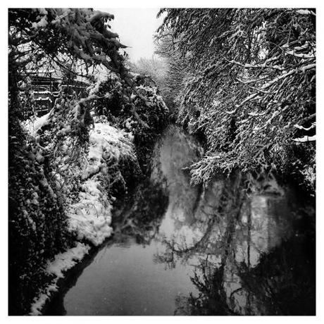 Attimi di neve scatti Neve Inverno Fotografie Attimi 