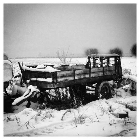 Attimi di neve scatti Neve Inverno Fotografie Attimi 