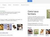 Come funziona Knowledge Graph Google