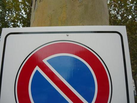 Vengono per curare gli alberi e fissano i cartelli del divieto di sosta conficcandoli con un chiodo nei tronchi. Tutto normale a Piazza Ragusa?