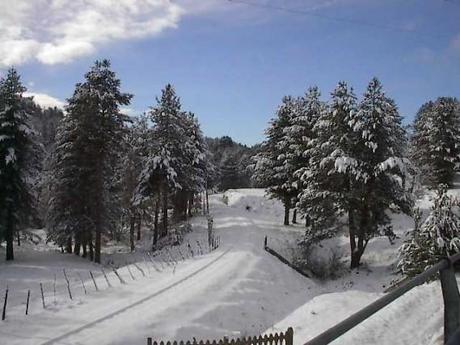 Neve e ghiaccio al Nord. Allarme piene fiumi nel fiorentino