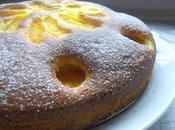 Cake alla ricotta albicocche