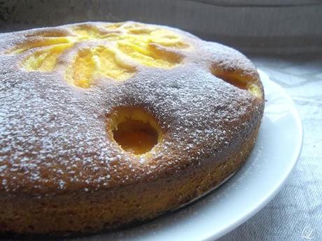 Cake alla ricotta e albicocche