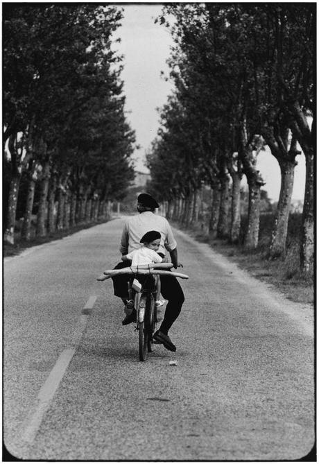 NYC15333 - FRANCE. Provence. 1955.