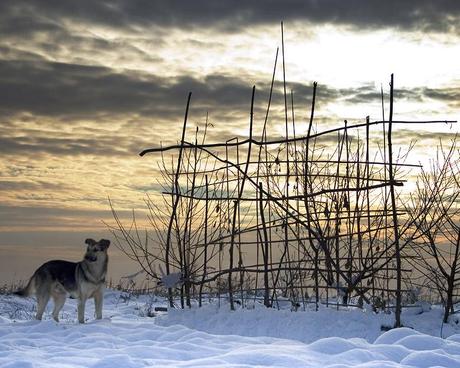 FORTI NEVICATE E TEMPERATURE DI PIOMBO IN BULGARIA