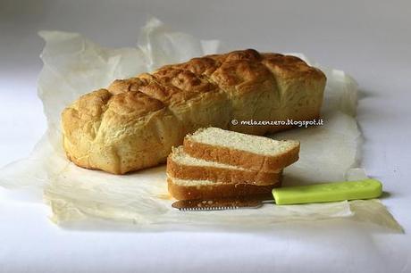 pancarrè con lievito naturale essiccato