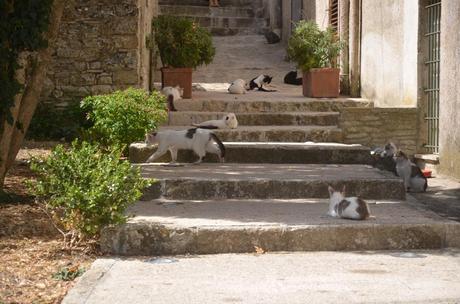 Pantelleria