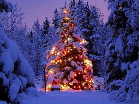 Qualche consiglio sotto l’albero… e naturalmente auguri!