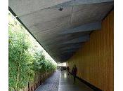 Tokyo: passeggiate museali
