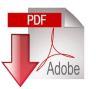 download pdf