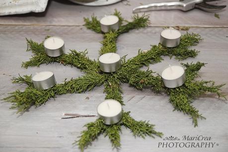 Fiocco di neve di Tuia