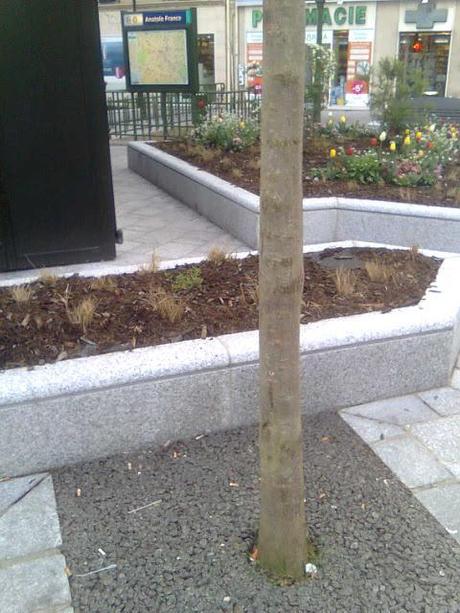 Ha realmente senso che Parigi sia ancora gemellata con Roma? La capitale francese è l'unica metropoli europea gemellata con un campo rom abbandonato, bizzarro no!?