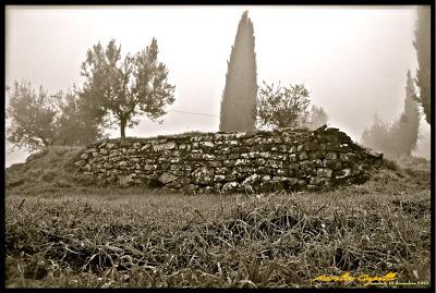 immagini della nebbia