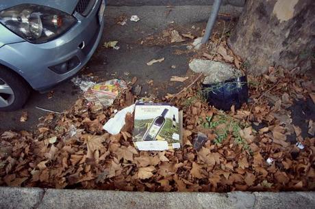 LA PULIZIA DELLE STRADE A ROMA: UNA DISCARICA DI RIFIUTI TRA LE LAMIERE! LE TRACCE DEL PASSAGGIO ANIMALE