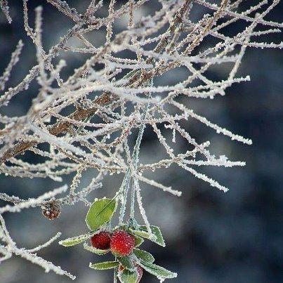 La magia dell'inverno ...I miei Auguri