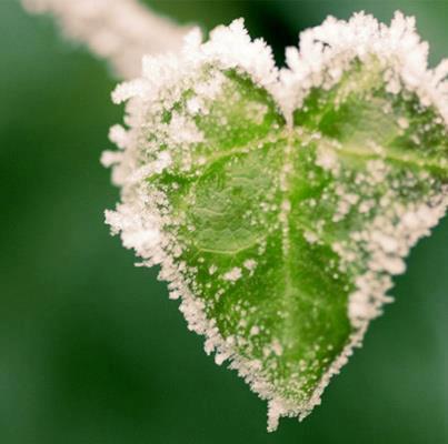 La magia dell'inverno ...I miei Auguri