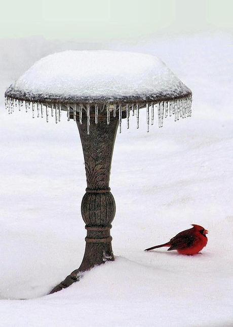 La magia dell'inverno ...I miei Auguri