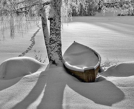 La magia dell'inverno ...I miei Auguri