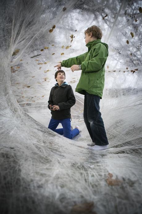 Scultura organica nel paesaggio / Site-specific organic sculture