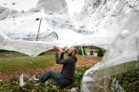 Scultura organica nel paesaggio / Site-specific organic sculture