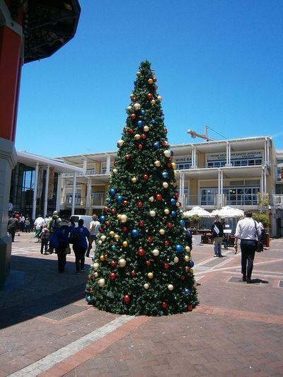 Nairobi christmas tree2