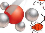 Catalyst presenta falla nell’aggiornamento automatico