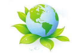Eco Business: Dieci regole per un ufficio ecologico!