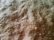 Focaccia integrale
