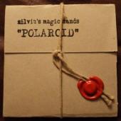Silvia’s magic hands - Polaroid