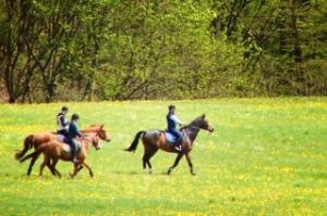 passeggiata a cavallo