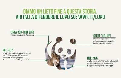 Adotta un Lupo col WWF