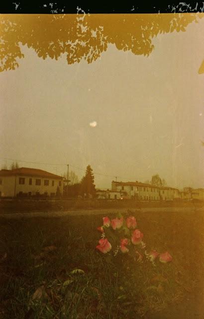 THE COURIER DISPOSABLE CAMERA PROJECT - le foto